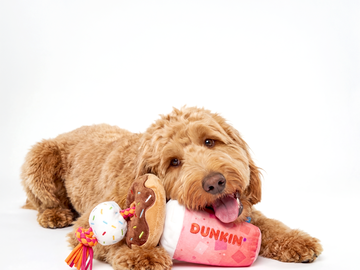 Dunkin' Strawberry Dragonfruit Refresher Donuts Dog Toy Dunkin' Strawberry Dragonfruit Refresher Donuts Dog Toy