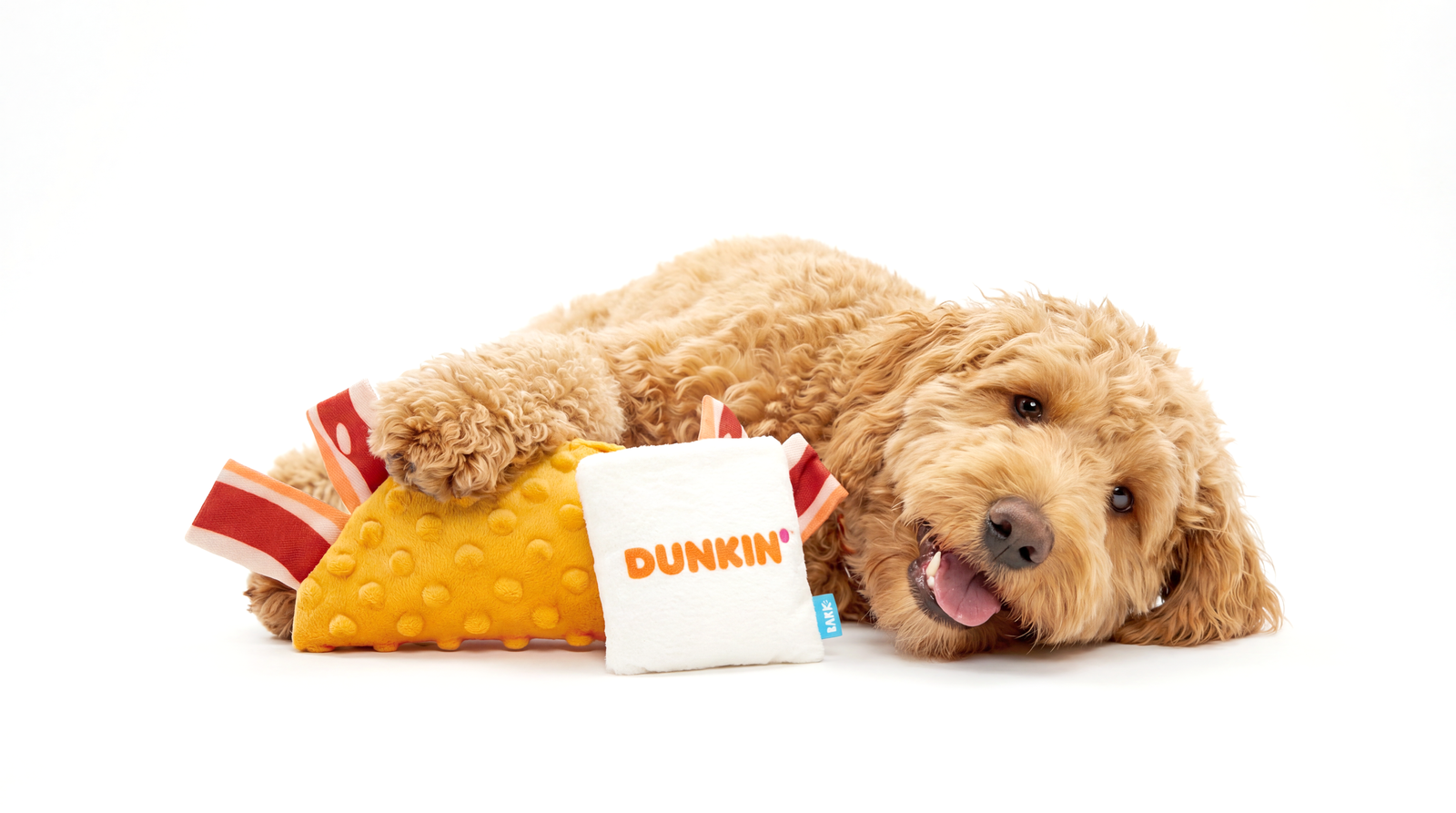 Dunkin' Wake-Up Wrap Dog Toy