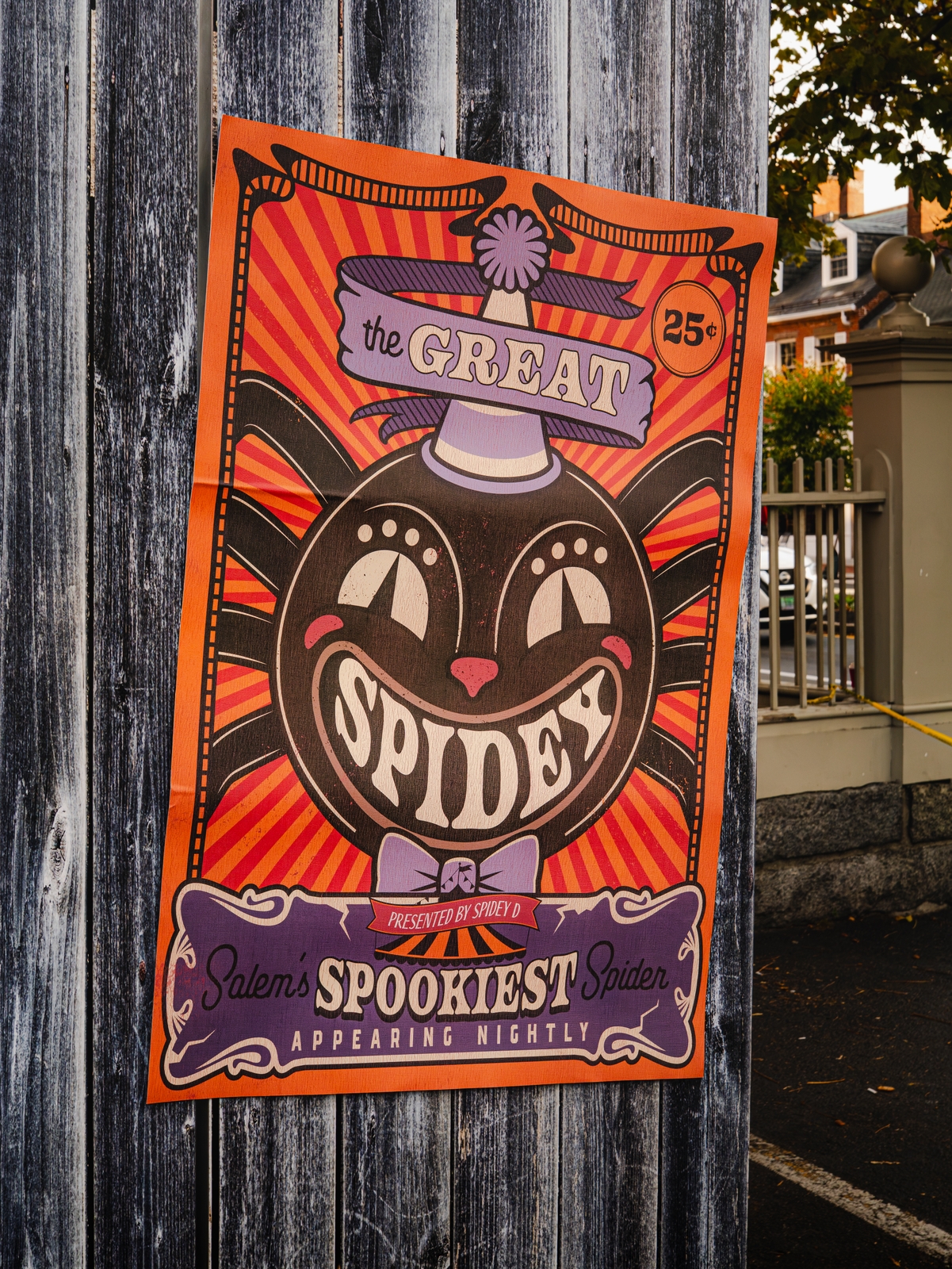 Spidey Ds Horror House