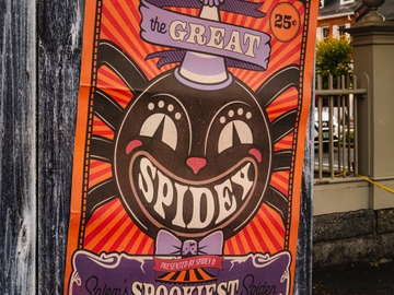 Spidey Ds Horror House