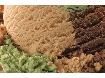 First Class Camouflage_Newsroom