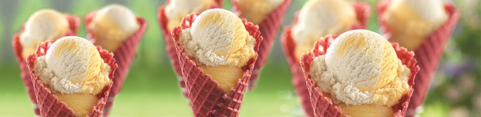 BASKIN-ROBBINS KICKS OFF SUMMER BY REINVENTING VANILLA ICE CREAM WITH ITS JUNE FLAVOR OF THE MONTH, TRIPLE VANILLA