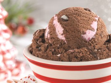 Peppermint Bark in the Dark Peppermint Bark in the Dark