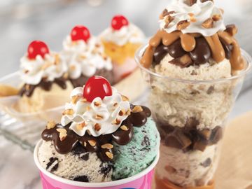 Family of BR Sundaes 2