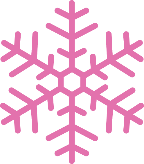 SnowflakeIcon