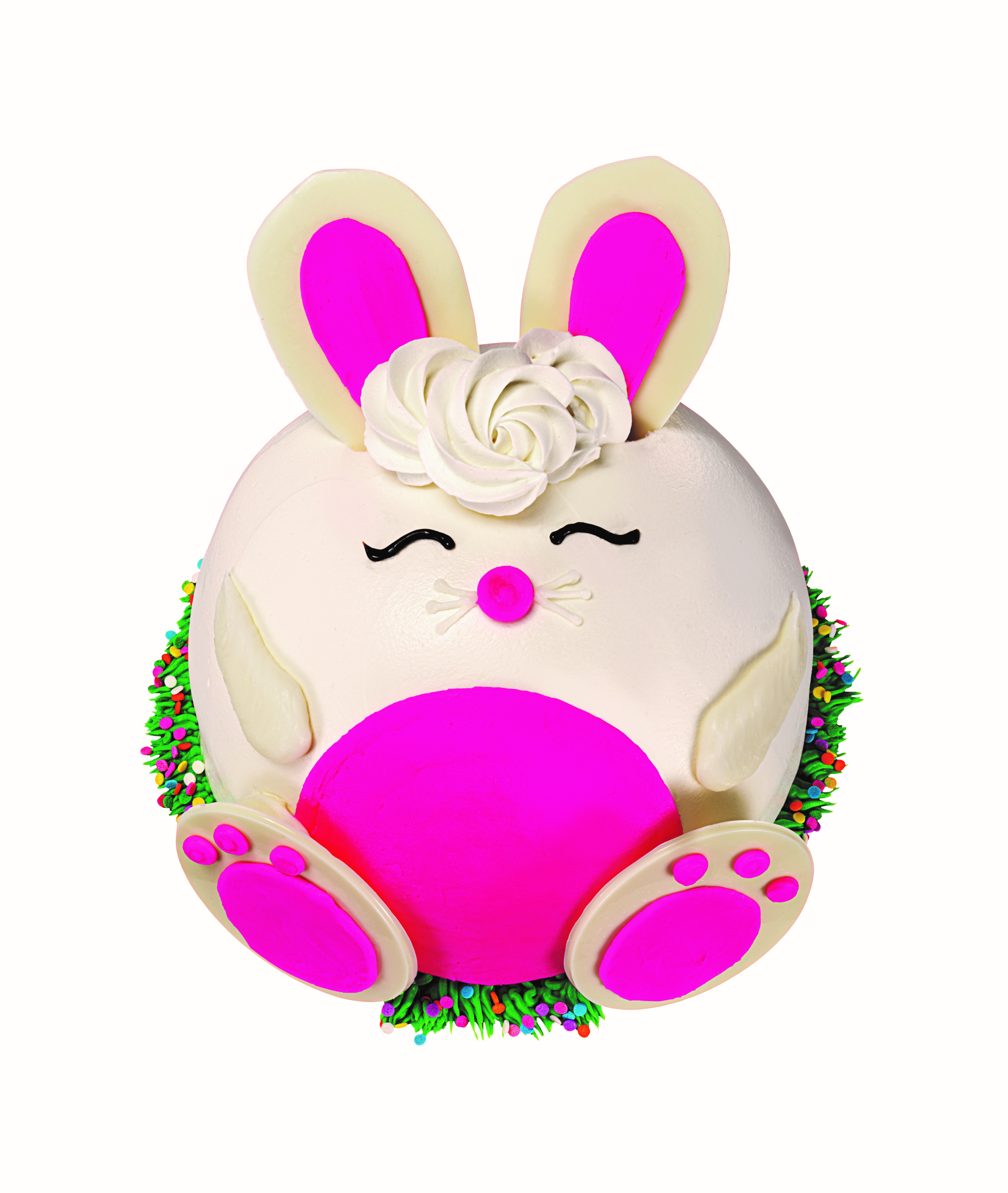 Hopscotch the Bunny_1