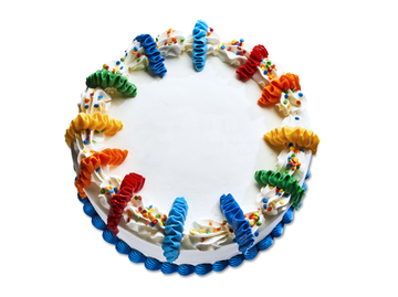 Ice Cream Cakes Ice Cream Cakes