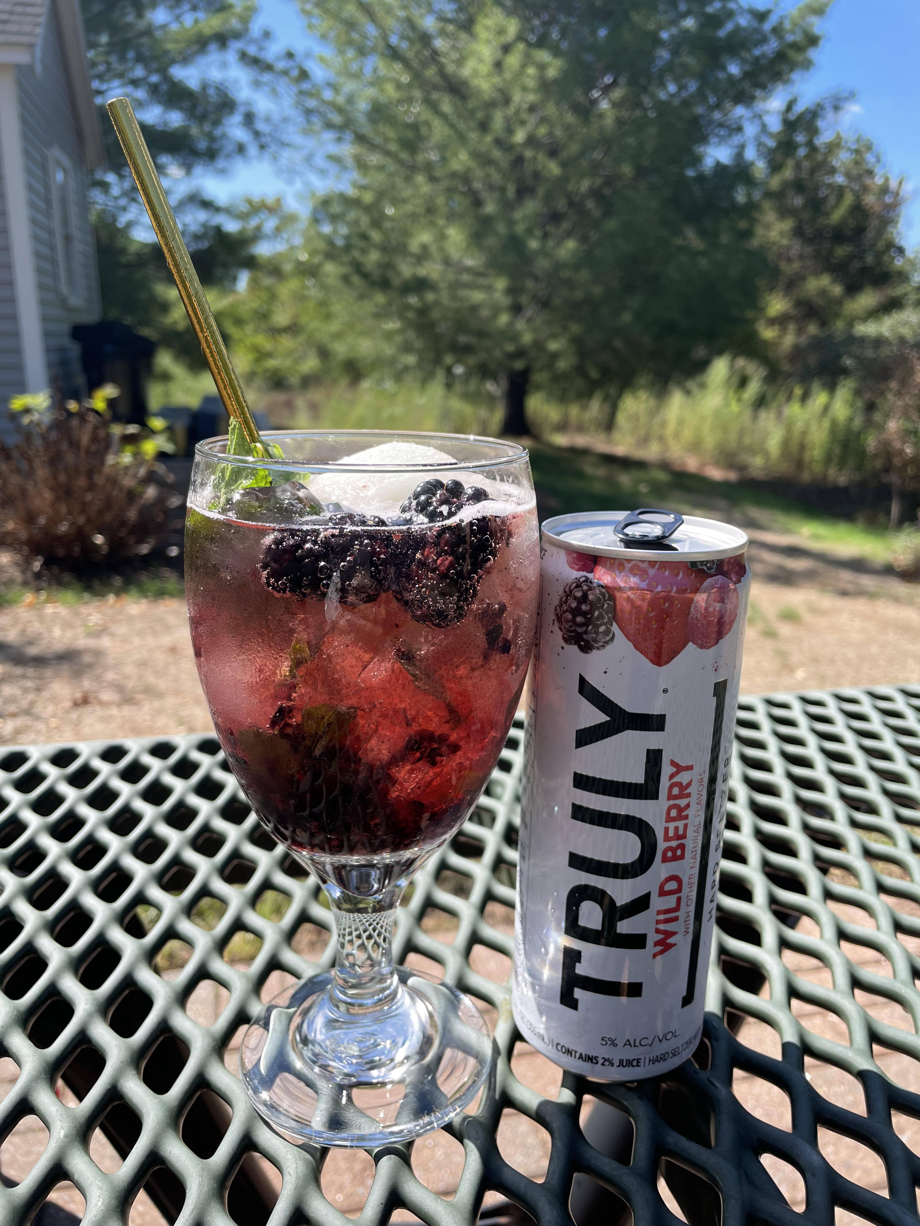 Wild Berry Mojito Ice