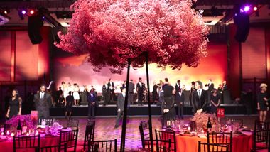 Ailey's 2015 Opening Night Gala