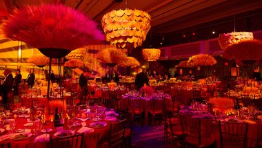 Alvin Ailey's 2014 Opening Night Gala