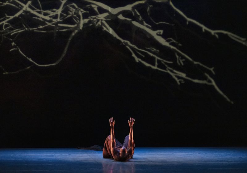 Alvin Ailey American Dance Theater's Yannick Lebrun in Jamar Roberts Song of the Anchorite