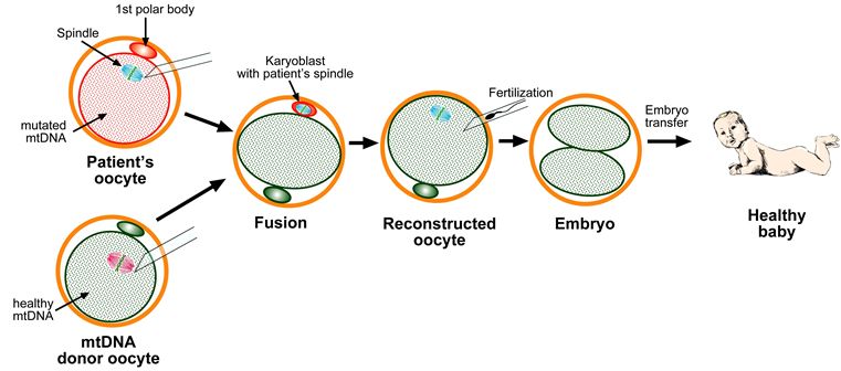 Gene therapy graphic