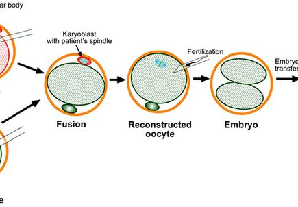 Gene therapy graphic