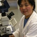 Paper of the Month: Stem cell therapy for retinal degeneration