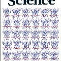 Paper of the Month: Research shows how virus evades immune systems