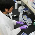 Now arriving in Graduate Studies: new students, new programs