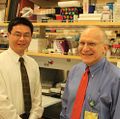 Paper of the Month: OX40, a co-stimulatory molecule critical for T cell activation during the pathogenesis of uveitis