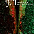 Paper of the Month: Survival of chronic myeloid leukemia stem cells is independent of BCR-ABL tyrosine kinase activity