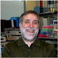 Dr. Roselli and research team featured in Endocrine News