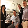 Paper of the Month: A mystery of the ear solved