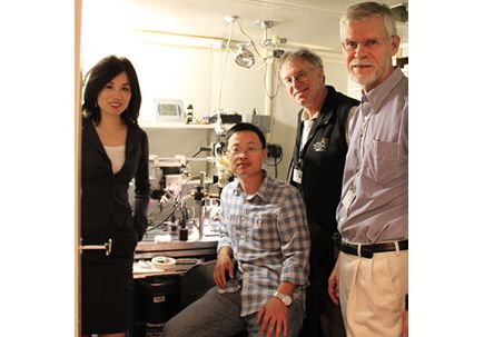 Paper of the Month: A mystery of the ear solved