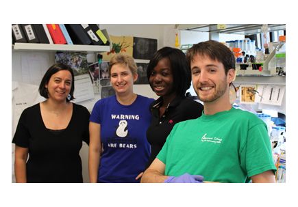 Paper of the Month: Determinants of the HIV-1 core assembly pathway.