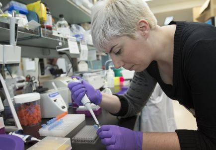 Study: Enhancing cancer response to radiation