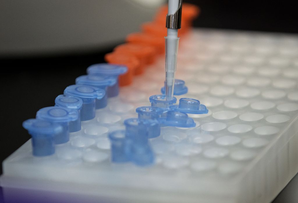 Promising microRNA study