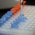 Promising microRNA study