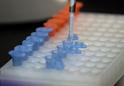 Research videos