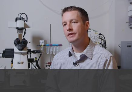 Dr. Jeffrey Illif, on the glymphatic system