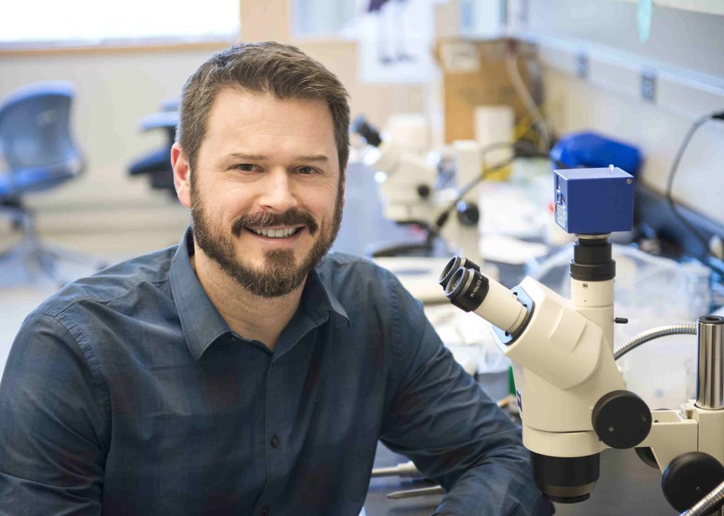 Marc Freeman, Ph.D 