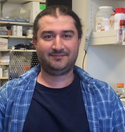 Omar Davulcu, Ph.D.