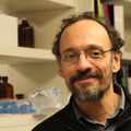 Claudio Mello, Ph.D.
