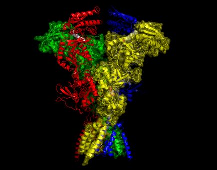 Receptor with black background