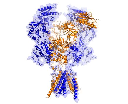 Receptor with white background