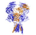Receptor with white background