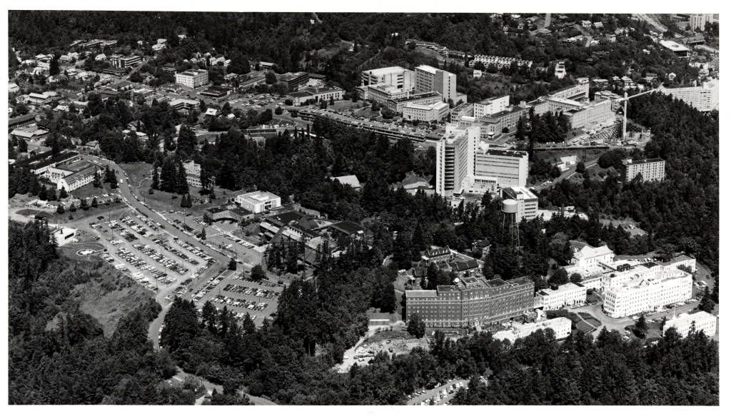 Marquam Hill, 1981