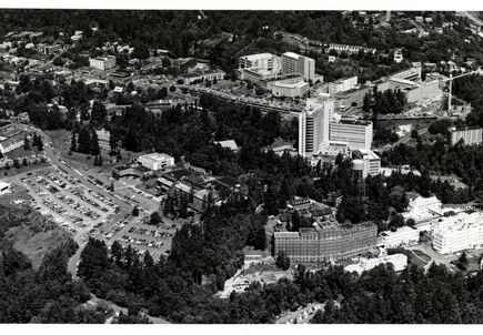 Marquam Hill, 1981