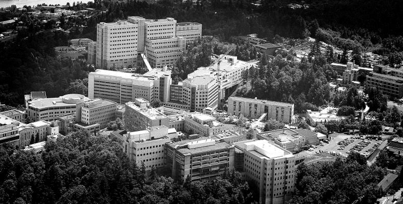 Marquam Hill, 2000