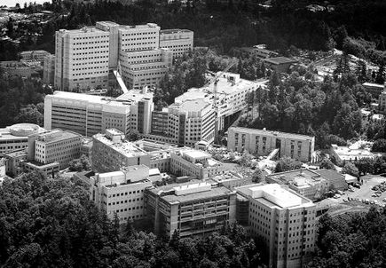 Marquam Hill, 2000