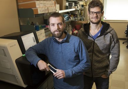 Genome mapping of a single cell