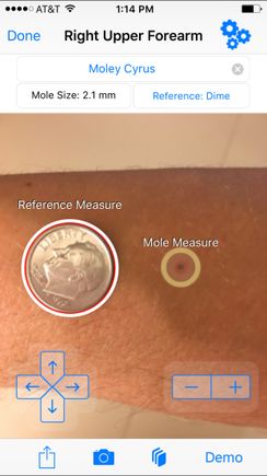 Mole Mapper app