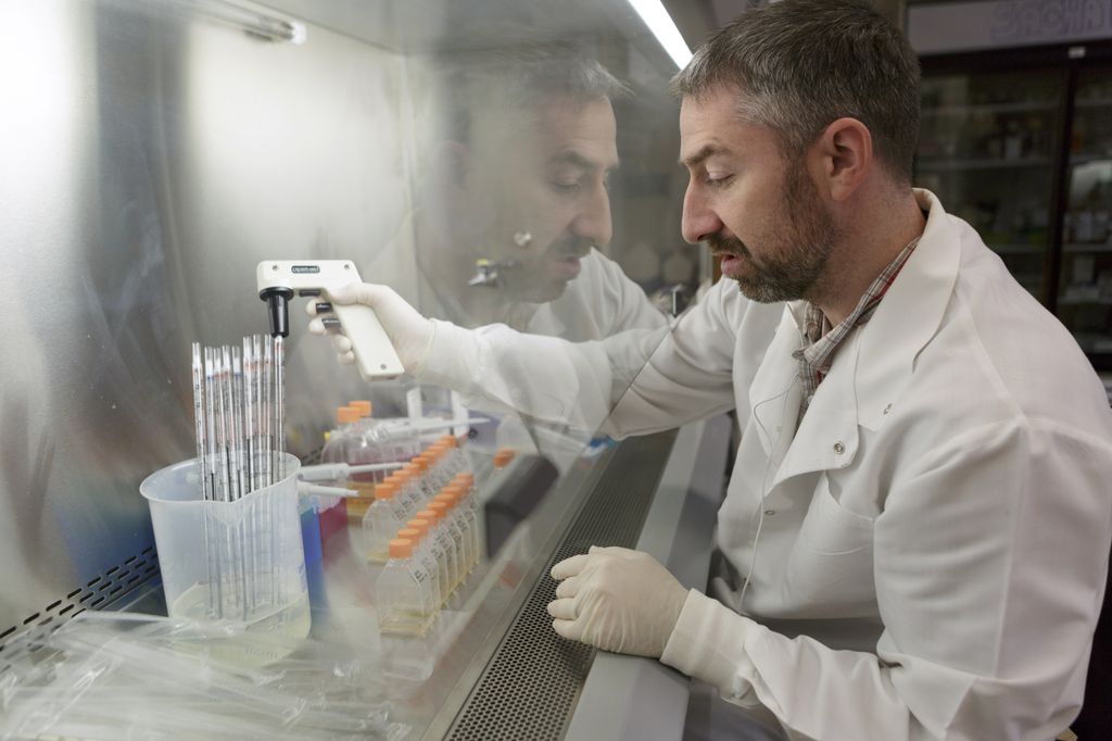 Stem cell research