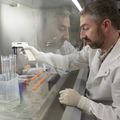 Stem cell research