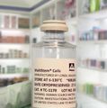 Stroke stem cell therapy