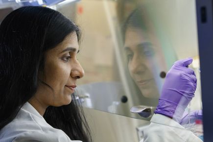 AML research