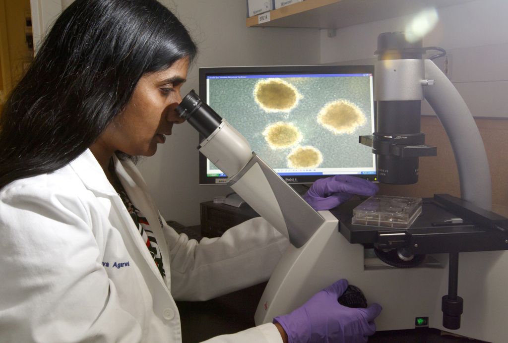 AML research