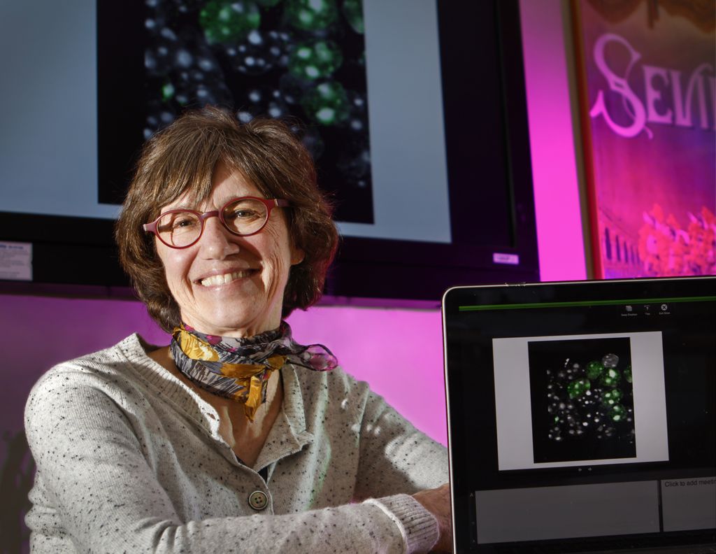 Research Week: Gail Mandel, Ph.D.