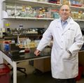 Joe Gray, Ph.D.